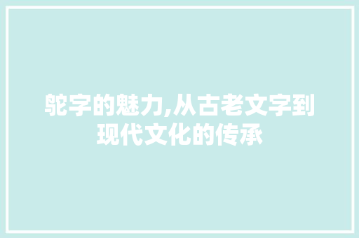 鸵字的魅力,从古老文字到现代文化的传承