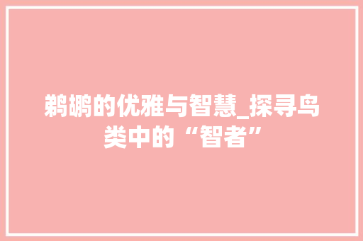 鹈鹕的优雅与智慧_探寻鸟类中的“智者”