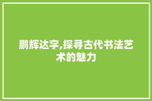 鹏辉达字,探寻古代书法艺术的魅力