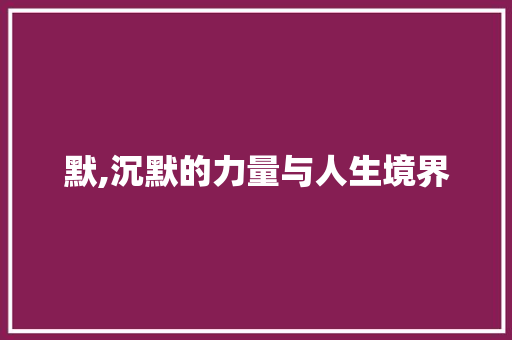 默,沉默的力量与人生境界