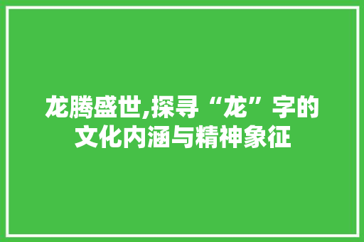 龙腾盛世,探寻“龙”字的文化内涵与精神象征