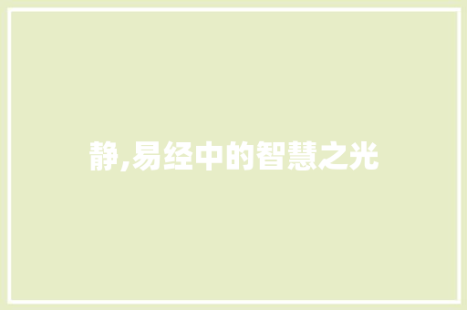 静,易经中的智慧之光