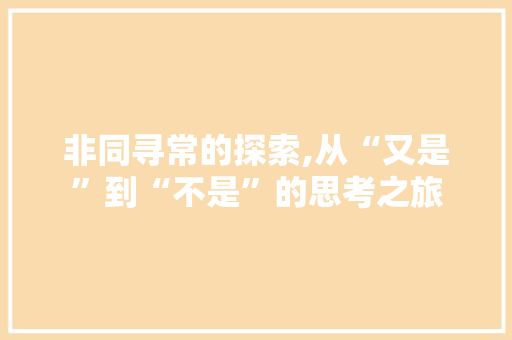 非同寻常的探索,从“又是”到“不是”的思考之旅
