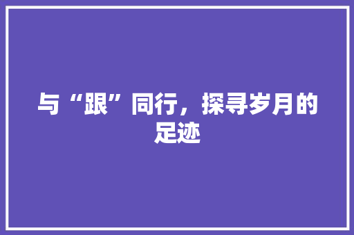 与“跟”同行，探寻岁月的足迹