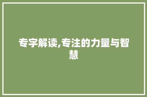 专字解读,专注的力量与智慧