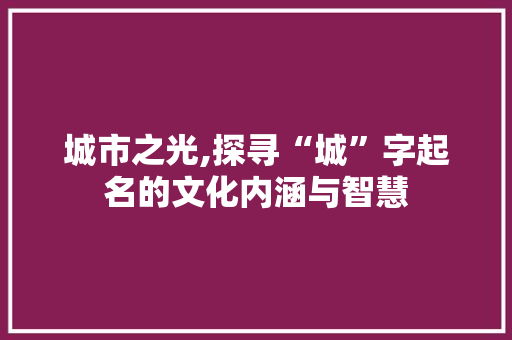 城市之光,探寻“城”字起名的文化内涵与智慧