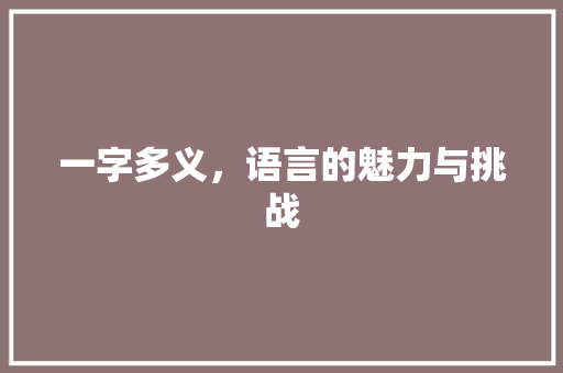 一字多义，语言的魅力与挑战