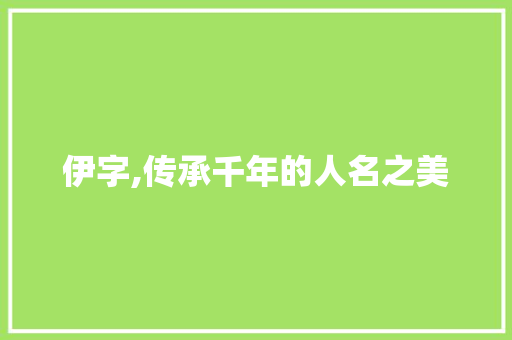 伊字,传承千年的人名之美