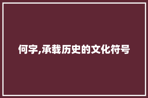 何字,承载历史的文化符号