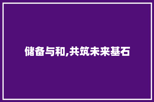 储备与和,共筑未来基石