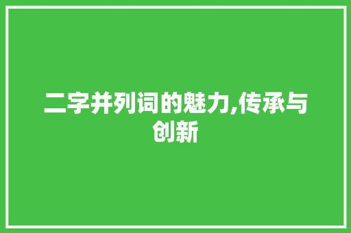 二字并列词的魅力,传承与创新
