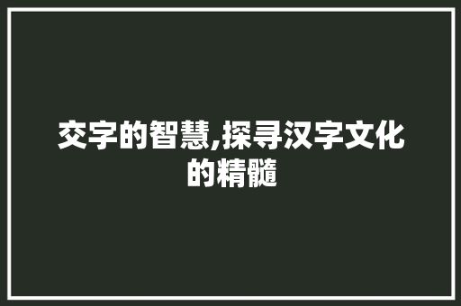 交字的智慧,探寻汉字文化的精髓