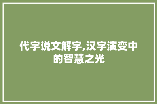 代字说文解字,汉字演变中的智慧之光