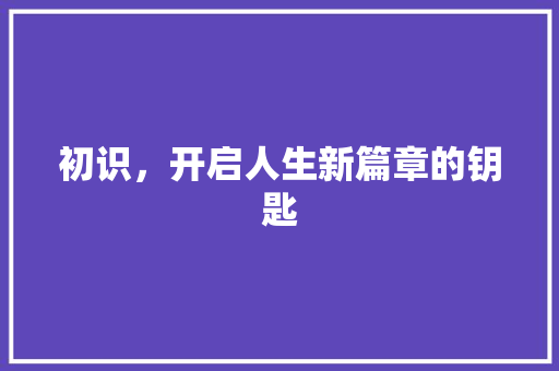 初识，开启人生新篇章的钥匙