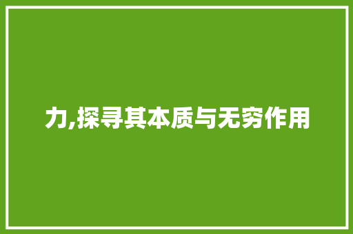 力,探寻其本质与无穷作用
