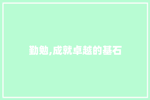勤勉,成就卓越的基石  第1张