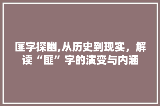 匪字探幽,从历史到现实，解读“匪”字的演变与内涵