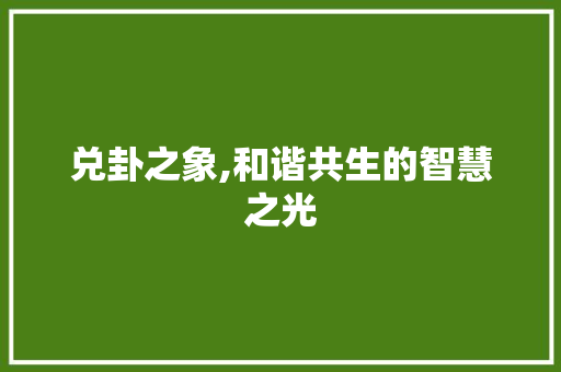 兑卦之象,和谐共生的智慧之光