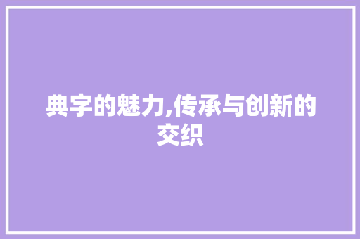 典字的魅力,传承与创新的交织