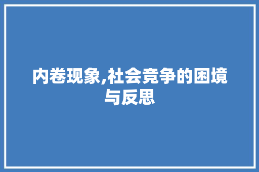内卷现象,社会竞争的困境与反思