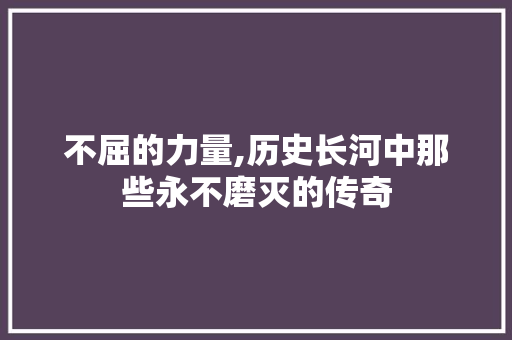 不屈的力量,历史长河中那些永不磨灭的传奇