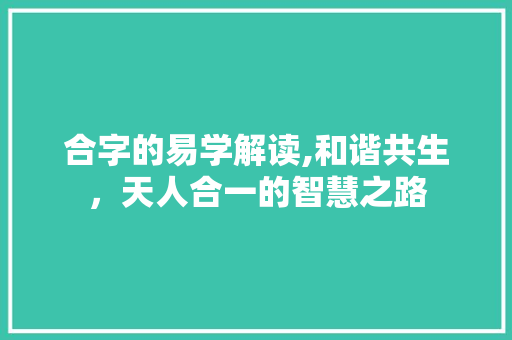 合字的易学解读,和谐共生，天人合一的智慧之路
