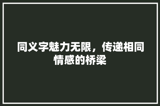 同义字魅力无限，传递相同情感的桥梁