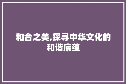 和合之美,探寻中华文化的和谐底蕴