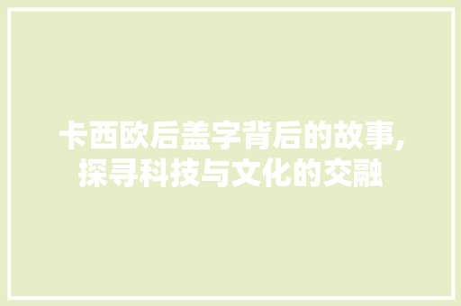 卡西欧后盖字背后的故事,探寻科技与文化的交融