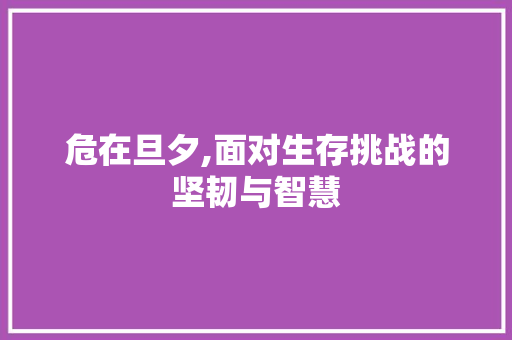 危在旦夕,面对生存挑战的坚韧与智慧