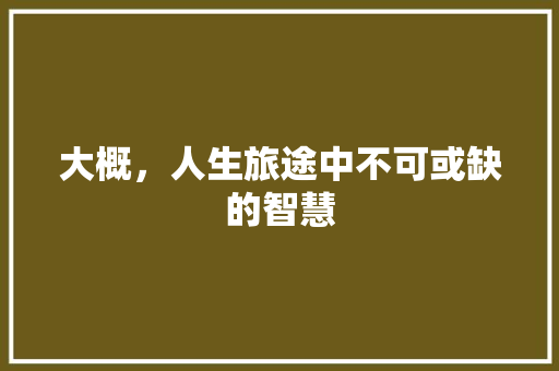 大概，人生旅途中不可或缺的智慧