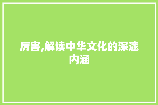 厉害,解读中华文化的深邃内涵