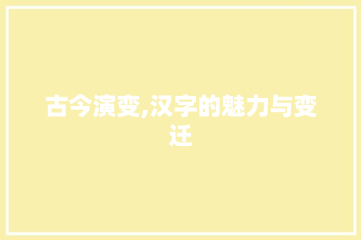 古今演变,汉字的魅力与变迁