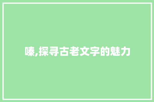 嗪,探寻古老文字的魅力  第1张
