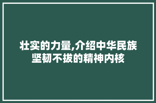 壮实的力量,介绍中华民族坚韧不拔的精神内核