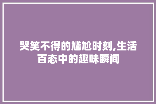哭笑不得的尴尬时刻,生活百态中的趣味瞬间