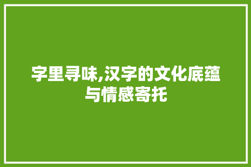 字里寻味,汉字的文化底蕴与情感寄托