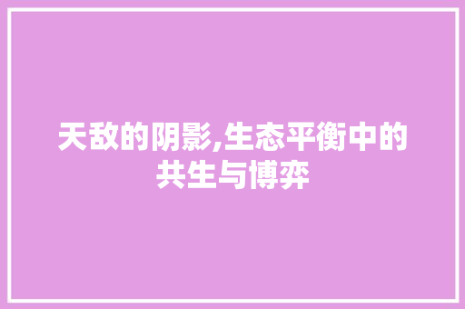 天敌的阴影,生态平衡中的共生与博弈