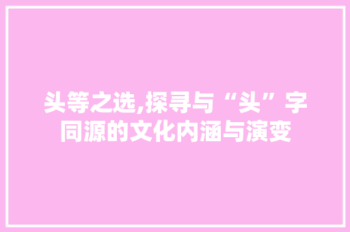 头等之选,探寻与“头”字同源的文化内涵与演变