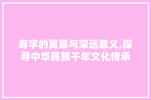 寿字的寓意与深远意义,探寻中华民族千年文化传承