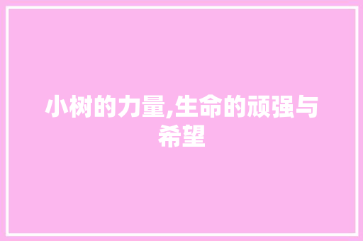 小树的力量,生命的顽强与希望