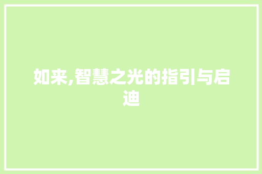 如来,智慧之光的指引与启迪