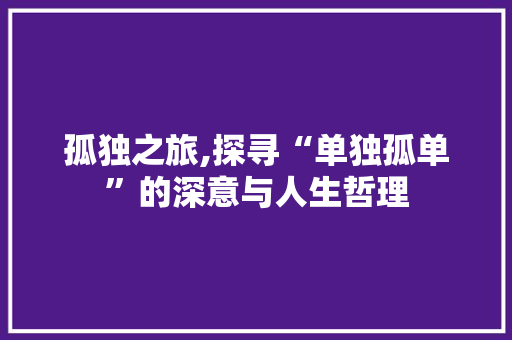 孤独之旅,探寻“单独孤单”的深意与人生哲理