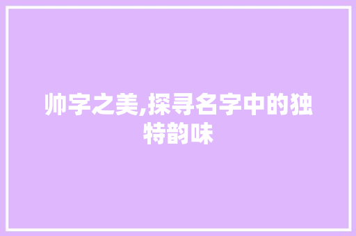 帅字之美,探寻名字中的独特韵味