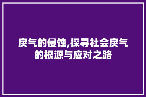 戾气的侵蚀,探寻社会戾气的根源与应对之路