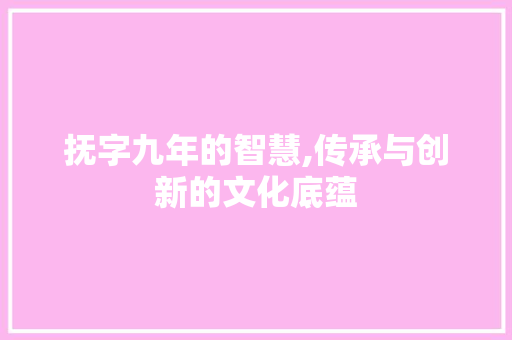 抚字九年的智慧,传承与创新的文化底蕴