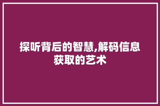 探听背后的智慧,解码信息获取的艺术