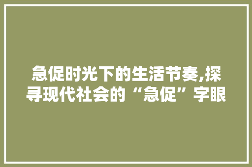 急促时光下的生活节奏,探寻现代社会的“急促”字眼