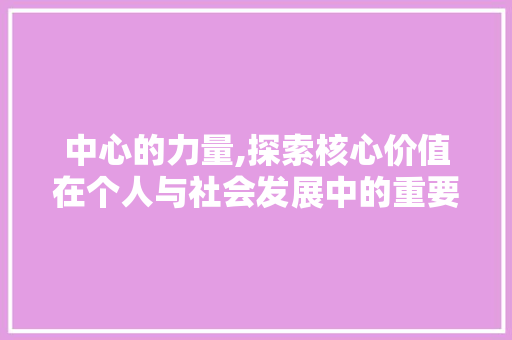 中心的力量,探索核心价值在个人与社会发展中的重要作用