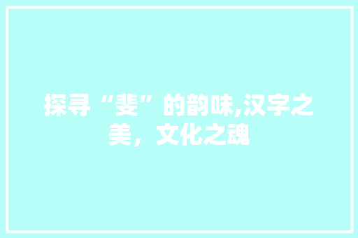 探寻“斐”的韵味,汉字之美，文化之魂